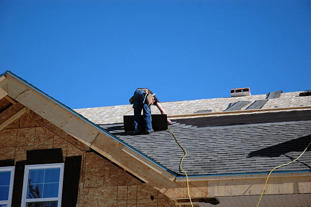 Best Metal Roofing Contractor  in Vashon, WA