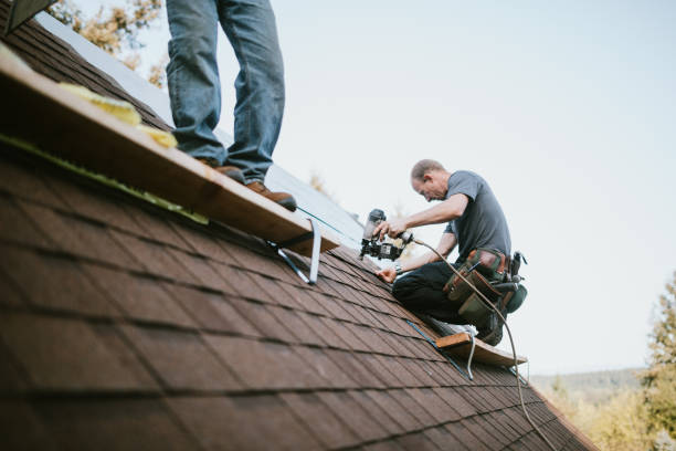 Roof Gutter Cleaning in Vashon, WA